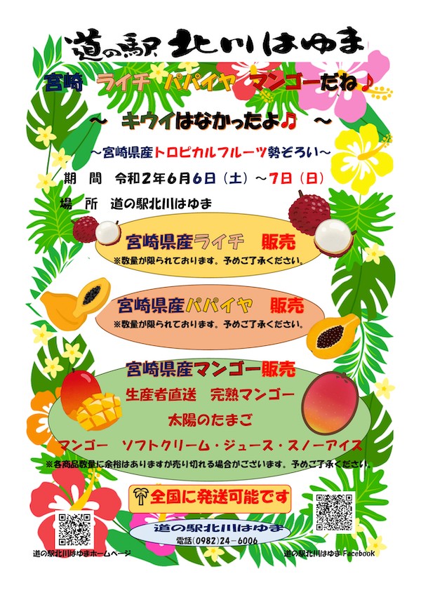 ～宮崎県産トロピカルフルーツ勢ぞろい～
