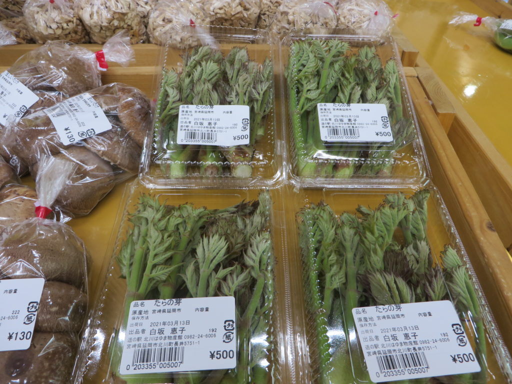 春の山菜入荷情報