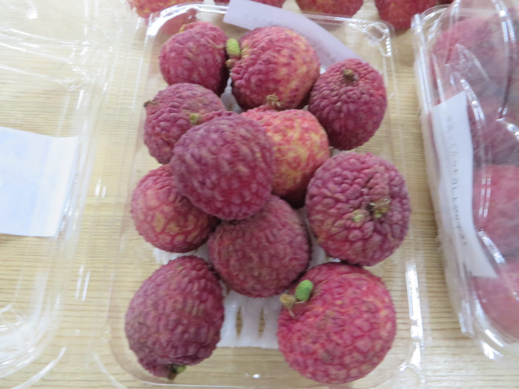 宮崎県日南市産「ライチ」入荷