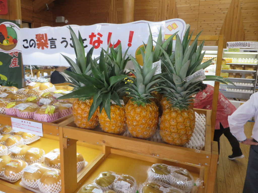 宮崎県日南市産　「完熟パイナップル」入荷しました🍍