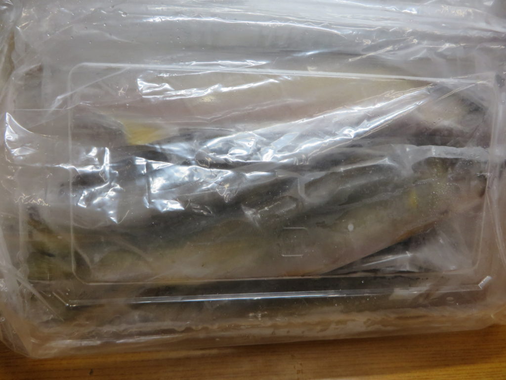 「天然鮎」入荷のお知らせ