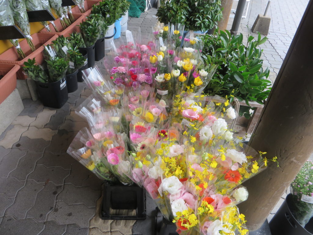 「切り花」や「花苗」の販売を開始しました！！