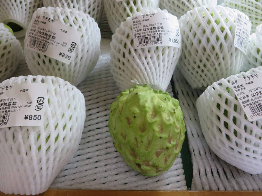 沖縄トロピカルフルーツ「アテモヤ」入荷しました　