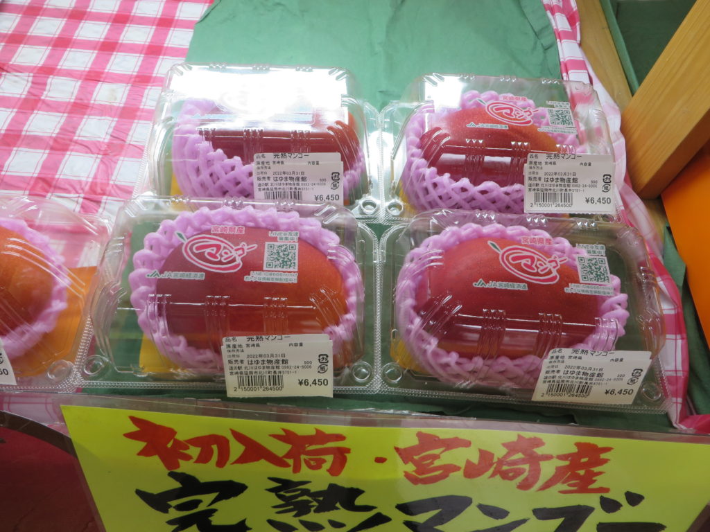 宮崎県産「完熟マンゴー」初入荷！！