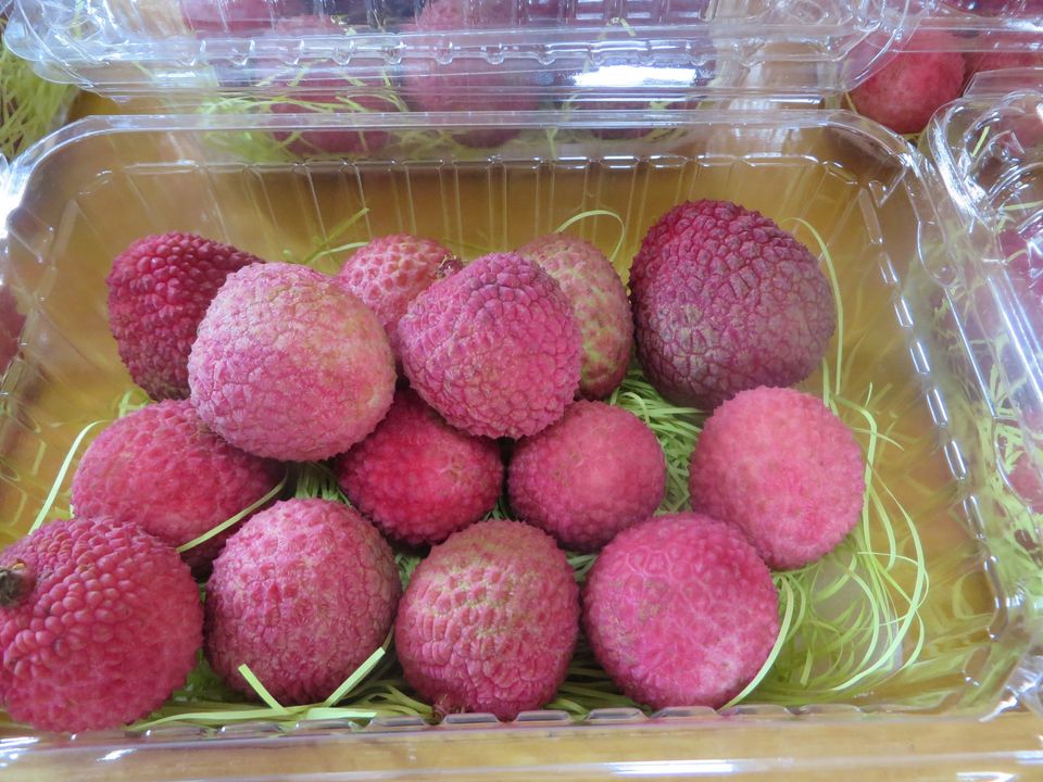 「宮崎県産　生ライチ」入荷予定！！