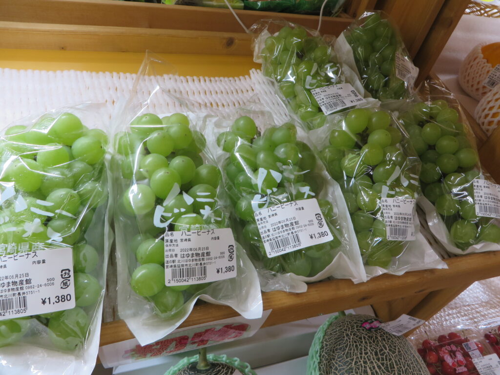 「宮崎県産　ハニービーナス」入荷しました！！