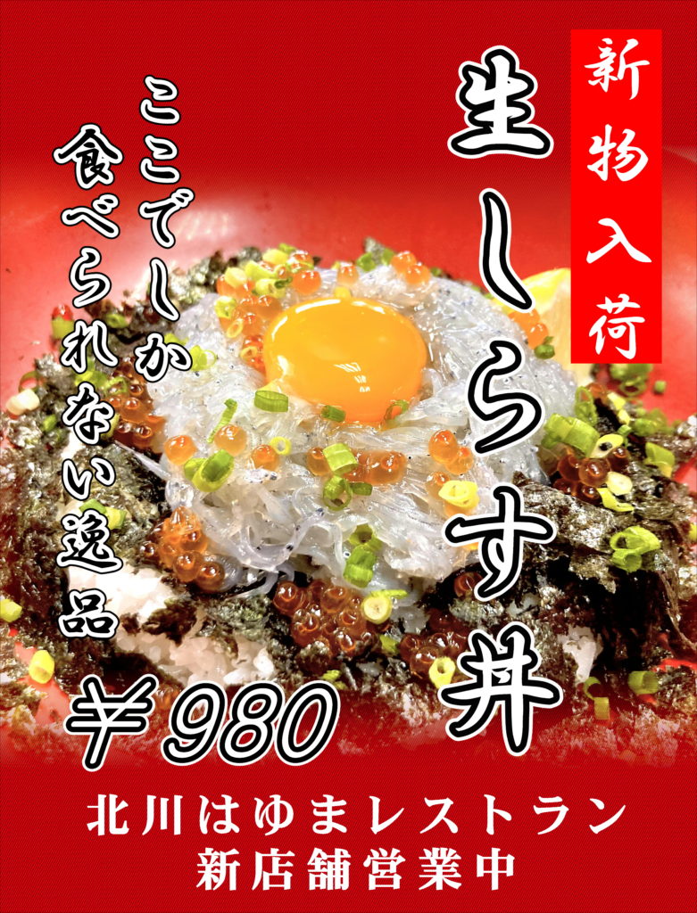 「生シラス丼」再開しました！！