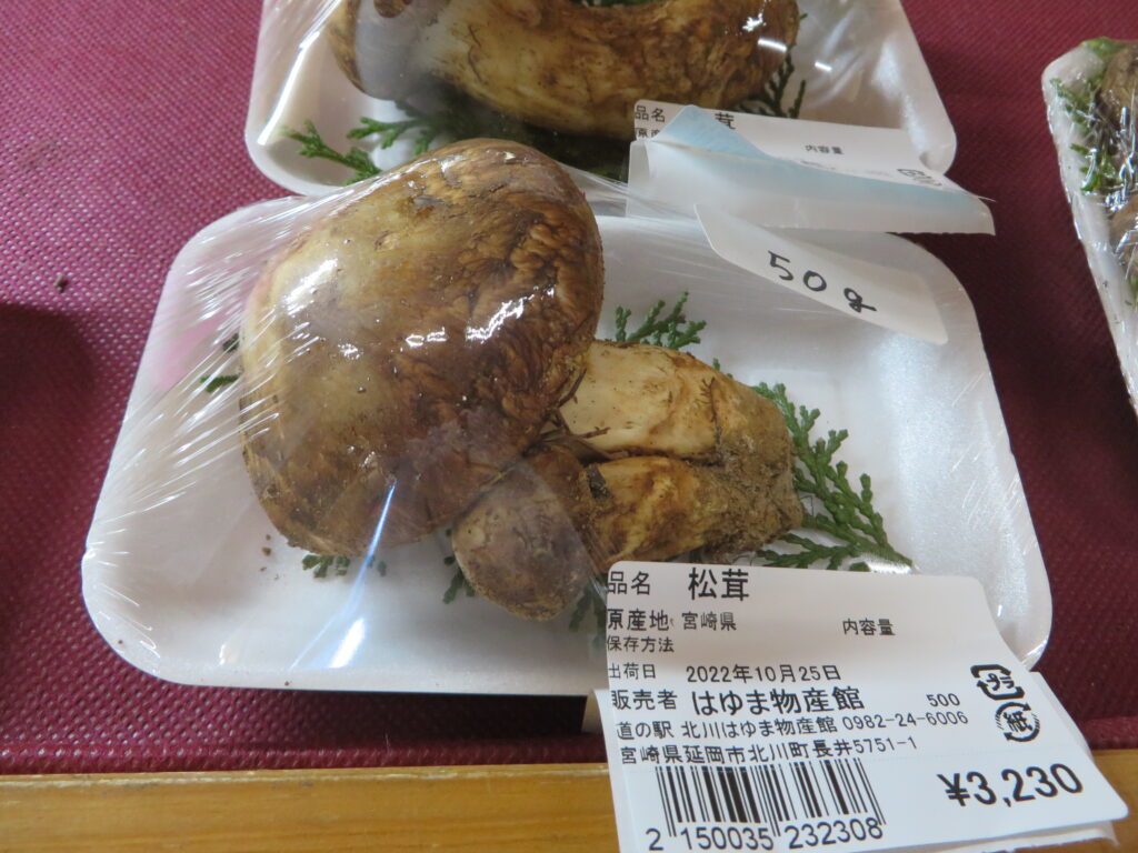 「秋の味覚」入荷しました！！