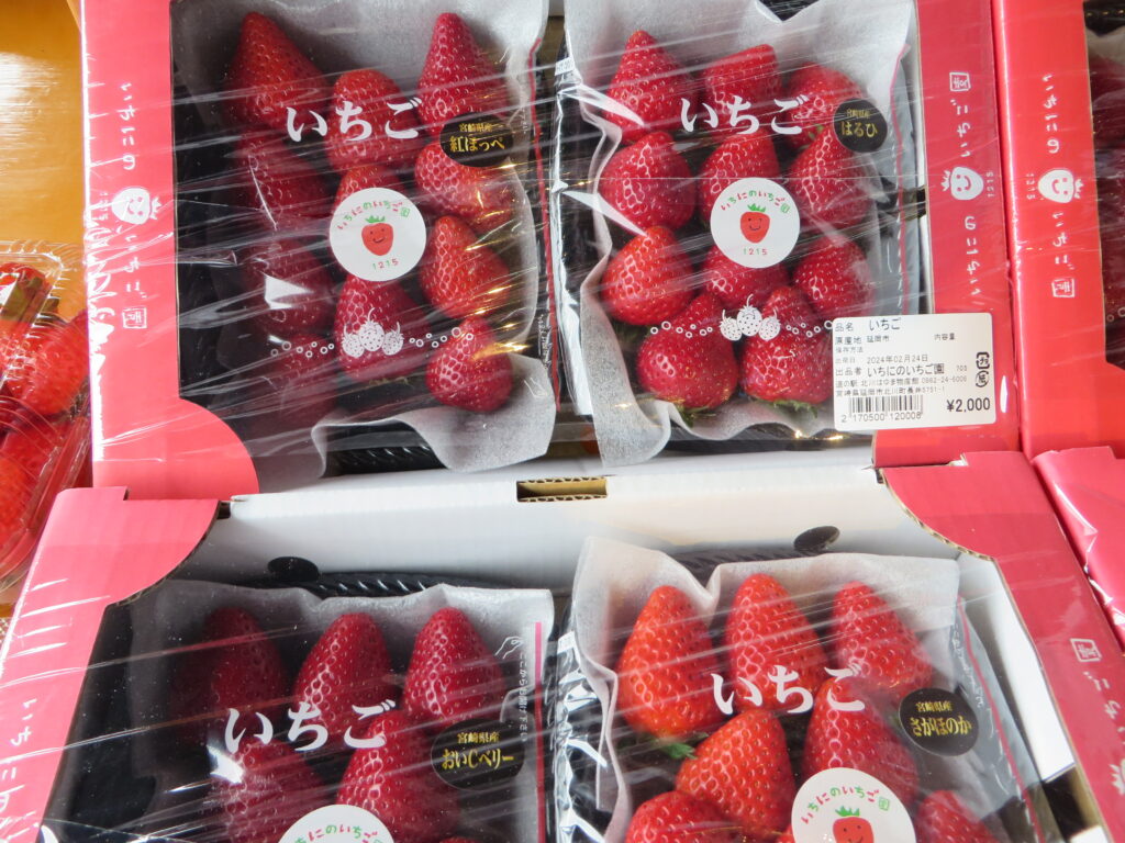 本日（令和６年２月２５日（日））まで開催！！「道の駅北川はゆま　肉フェスタ＆いちごフェア」