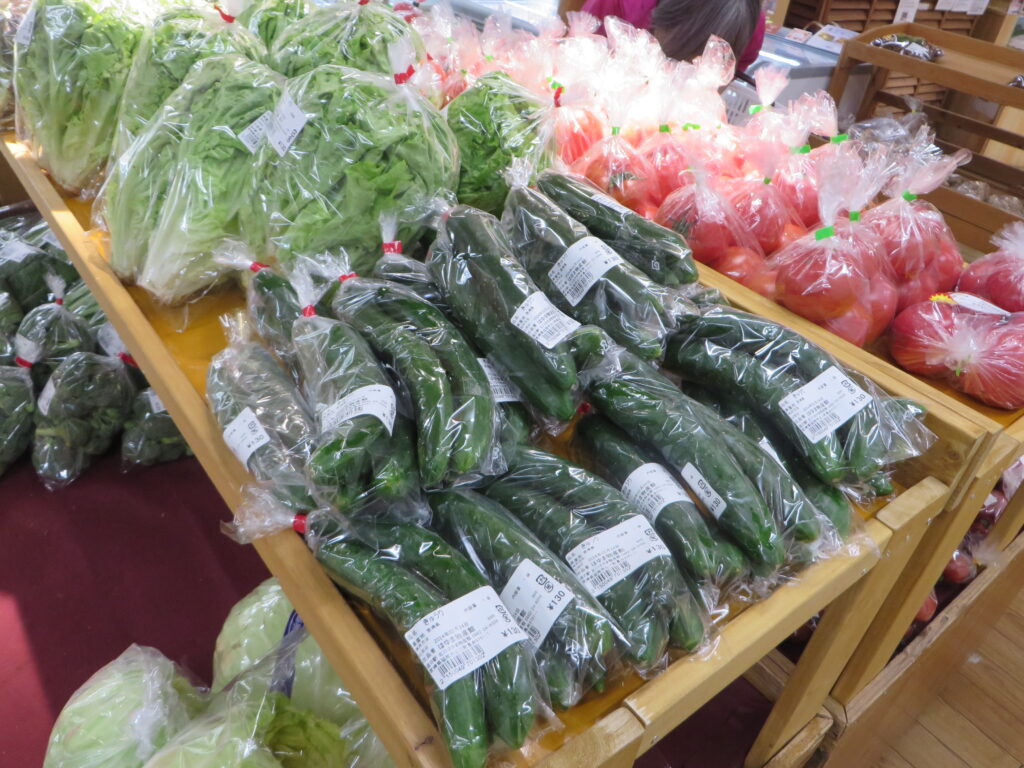 「延岡市農業畜産課主催　多品目少量栽培販売講習会」開催のご紹介