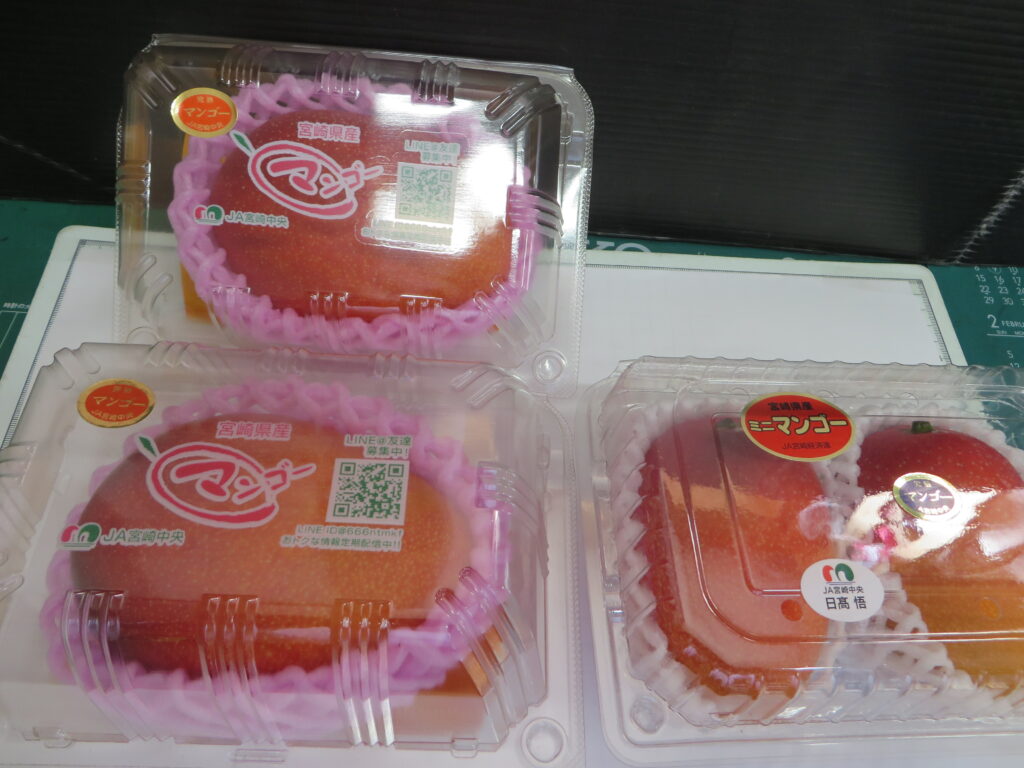 宮崎県産「完熟マンゴー」入荷しました！！