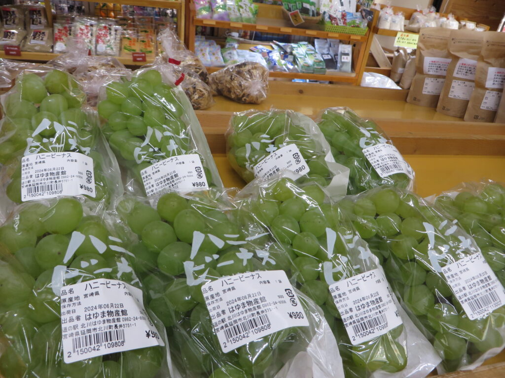 宮崎県産「ハニービーナス」入荷が始まりました。