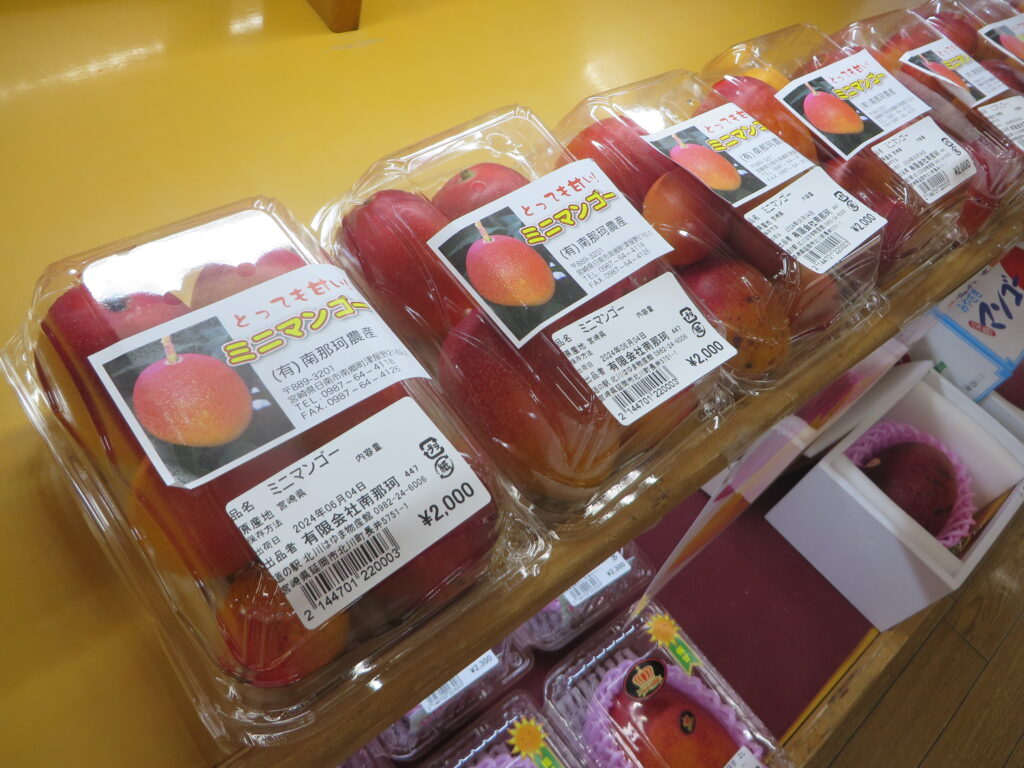 宮崎県日南市産「ミニマンゴー」入荷しました！！