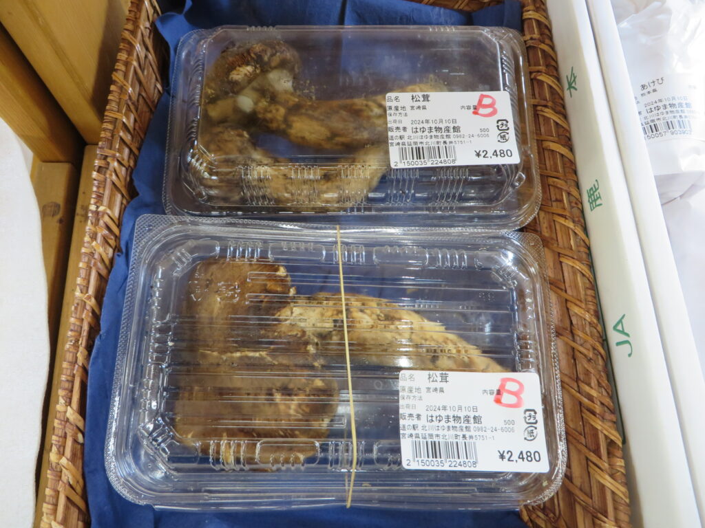 宮崎県産「松茸」初入荷！！