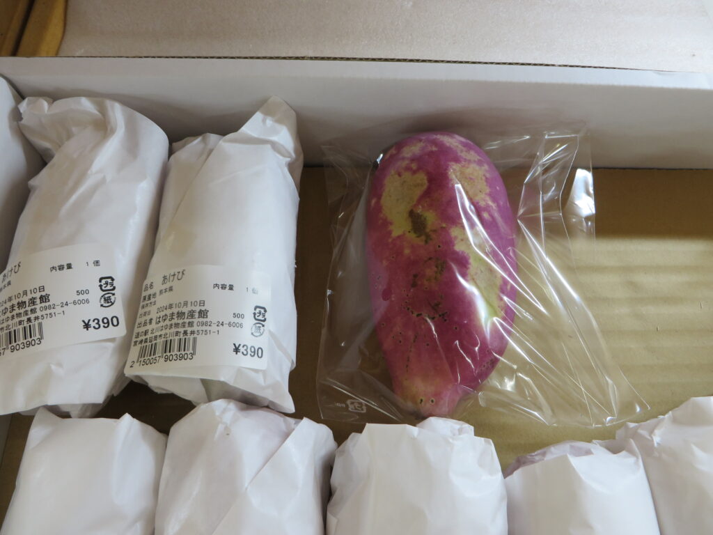 秋の山の味覚「アケビ」が入荷しました！！