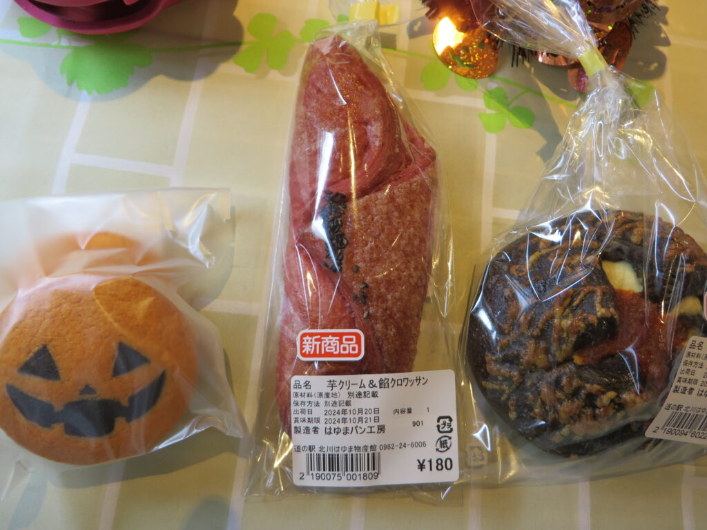 本日（令和６年１０月２０日（日））は月に一度の「道の駅北川はゆま　パンフェア」の日です！！