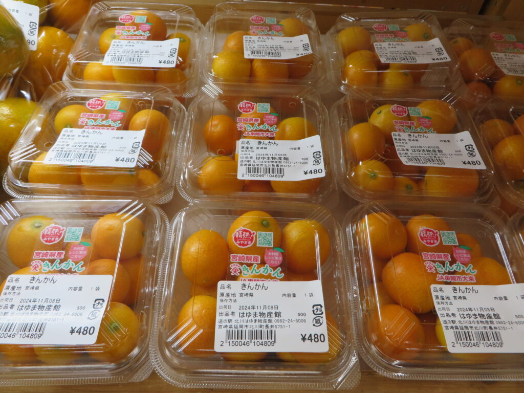 宮崎県産「きんかん」入荷しました！！