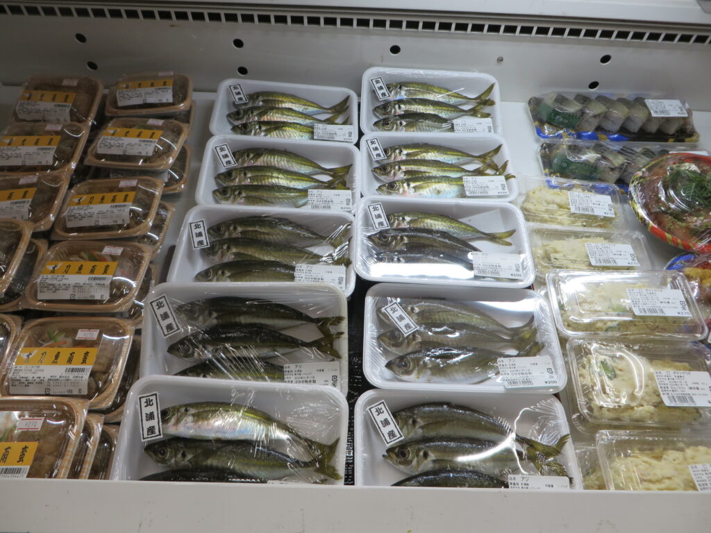 延岡水揚げの新鮮な魚介類の販売を開始しました！！
