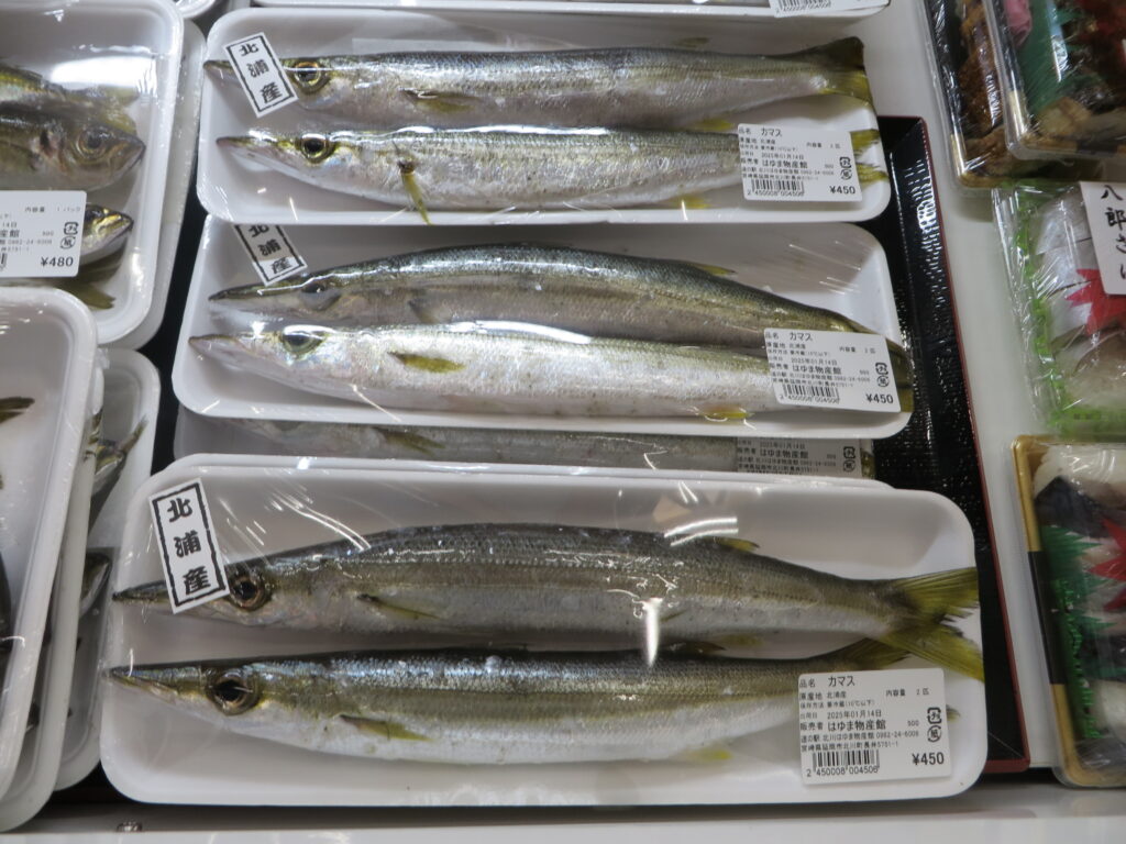 本日の延岡市内水揚げの新鮮な魚介類はこちら！！