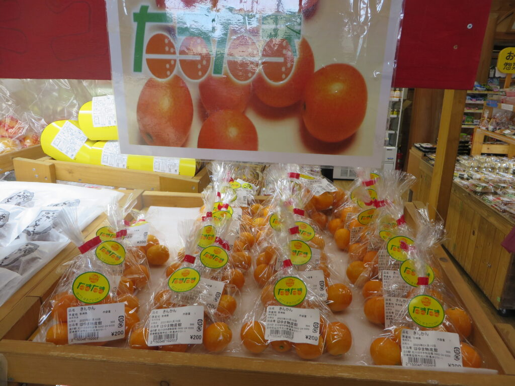 完熟きんかん「たまたま」販売中です！！