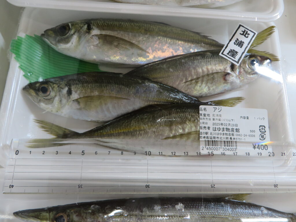 本日（令和７年２月２８日（金））入荷の延岡市産海産物