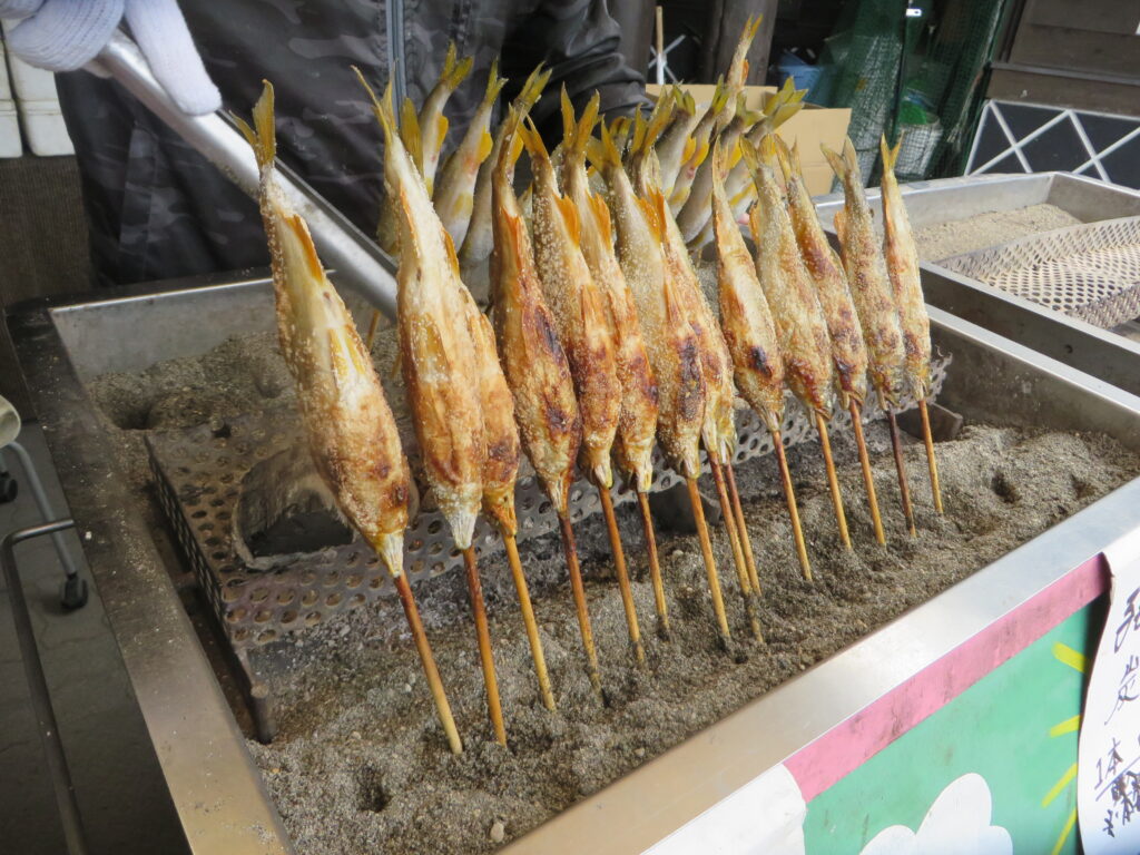 本日（令和７年２月２３日（日））の出店店舗様のご紹介