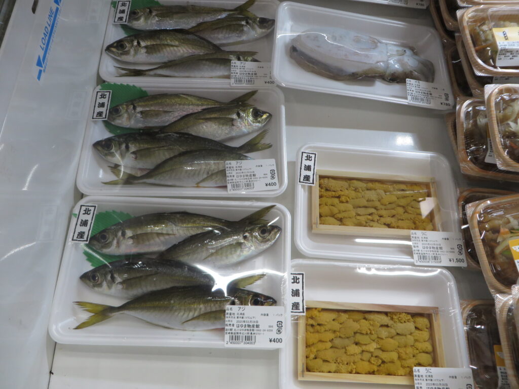 本日（令和７年３月８日（土））入荷の延岡市産海産物