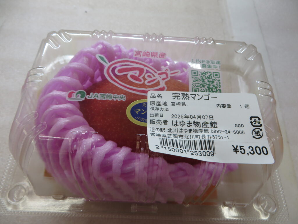 宮崎県産「マンゴー」初入荷！！