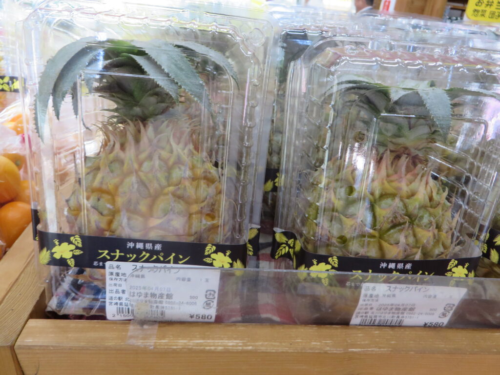 沖縄県産「スナックパイン」入荷！！