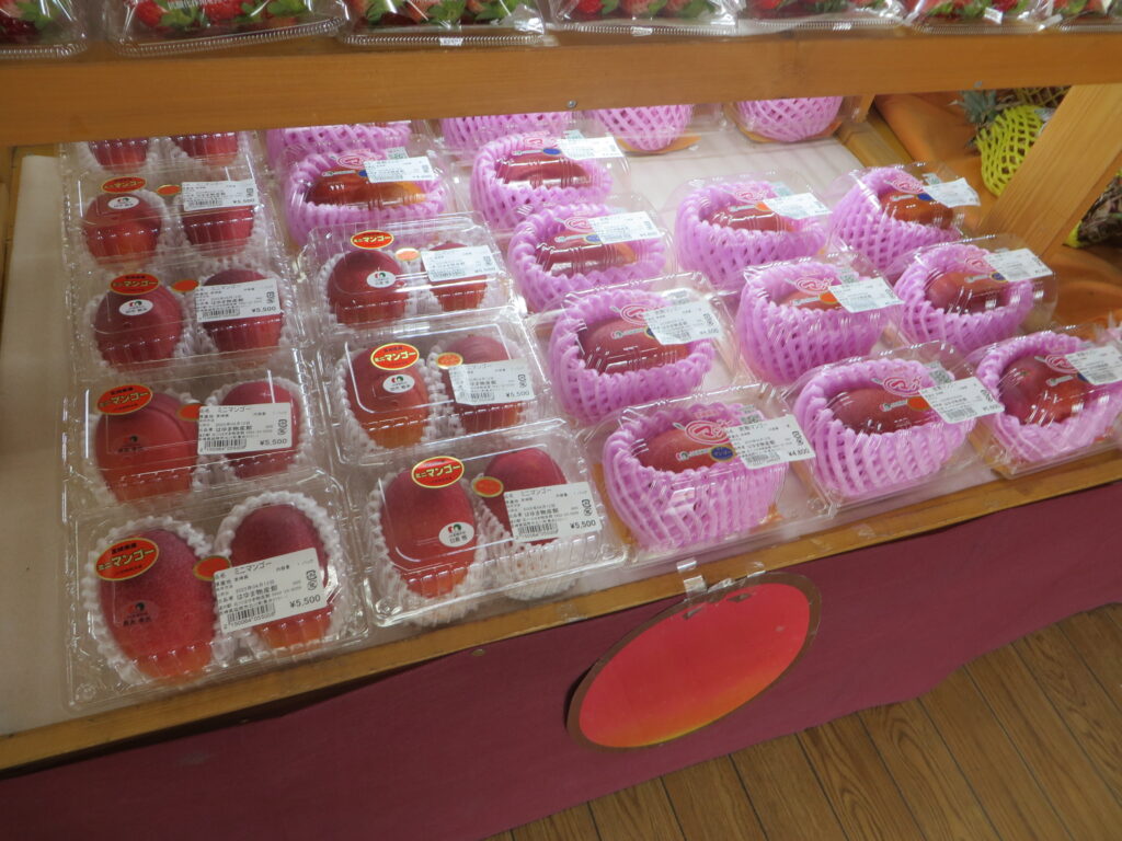 物産館商品入荷情報（令和7年４月１２日（土））
