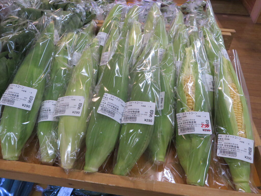 「道の駅北川はゆま　物産売店」に新物の「スィートコーン　ゴールドラッシュ」が入荷しました。
