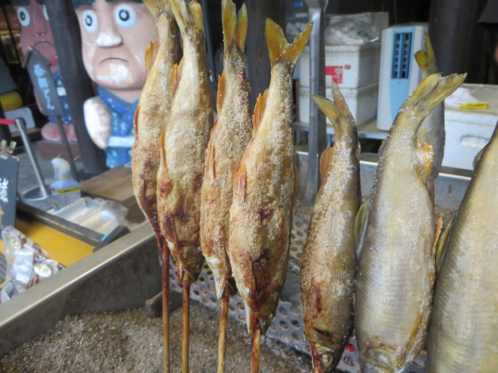 本日（令和７年５月２４日（土））出店者のご紹介