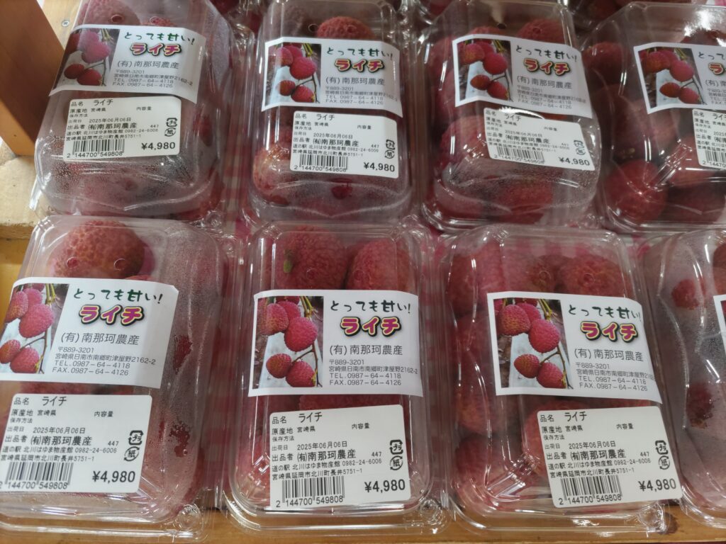 稀少な宮崎県日南市産「ライチ」入荷しました！！（令和7年６月６日（金））