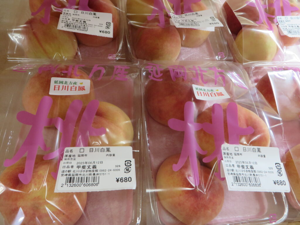 延岡市北方町産桃「日川白鳳（ひかわはくほう）」入荷しました！！<br>