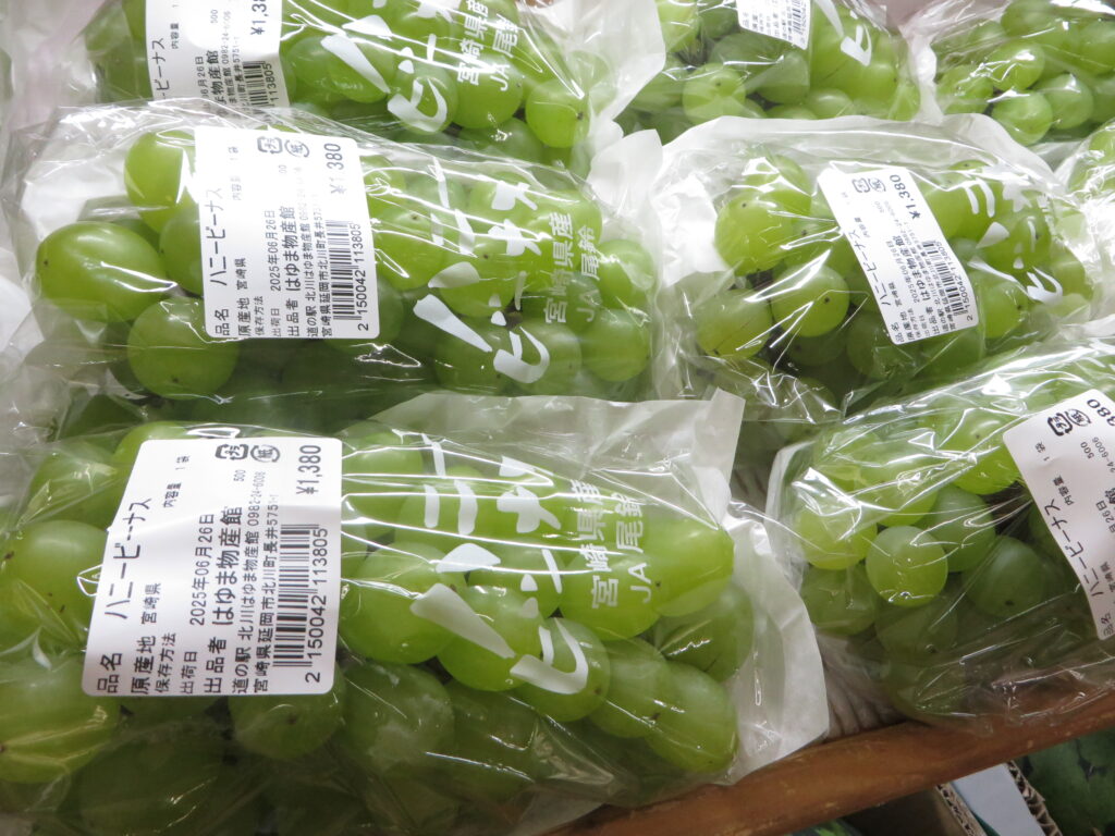 「道の駅北川はゆま　物産売店」宮崎県産「ハニービーナス」（ぶどう）入荷しました！！