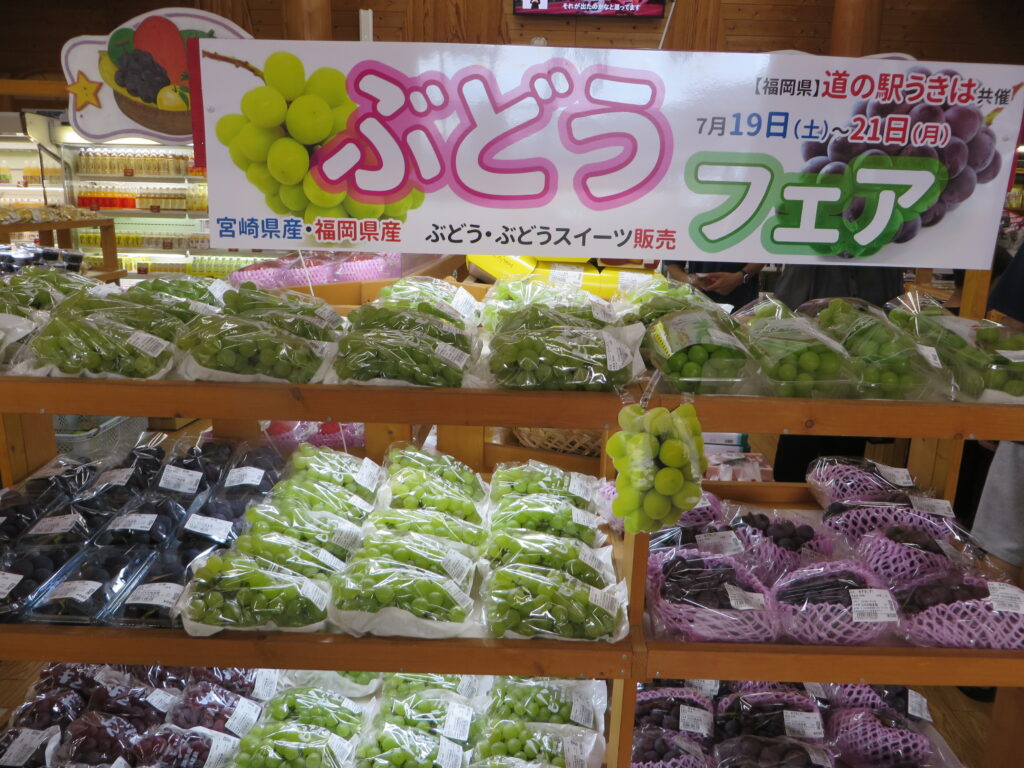 道の駅北川はゆま　リニューアルオープン２周年記念フェスティバル「ぶどうフェア」開催中（令和７年７月１９日（土）～２１日（月））