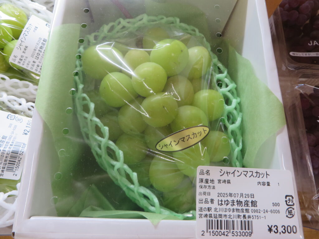 「道の駅北川はゆま」宮崎県産シャインマスカット入荷のお知らせ！！