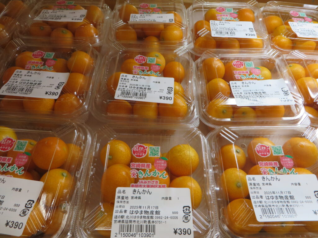 宮崎県産「金柑」（キンカン）が入荷しました！！