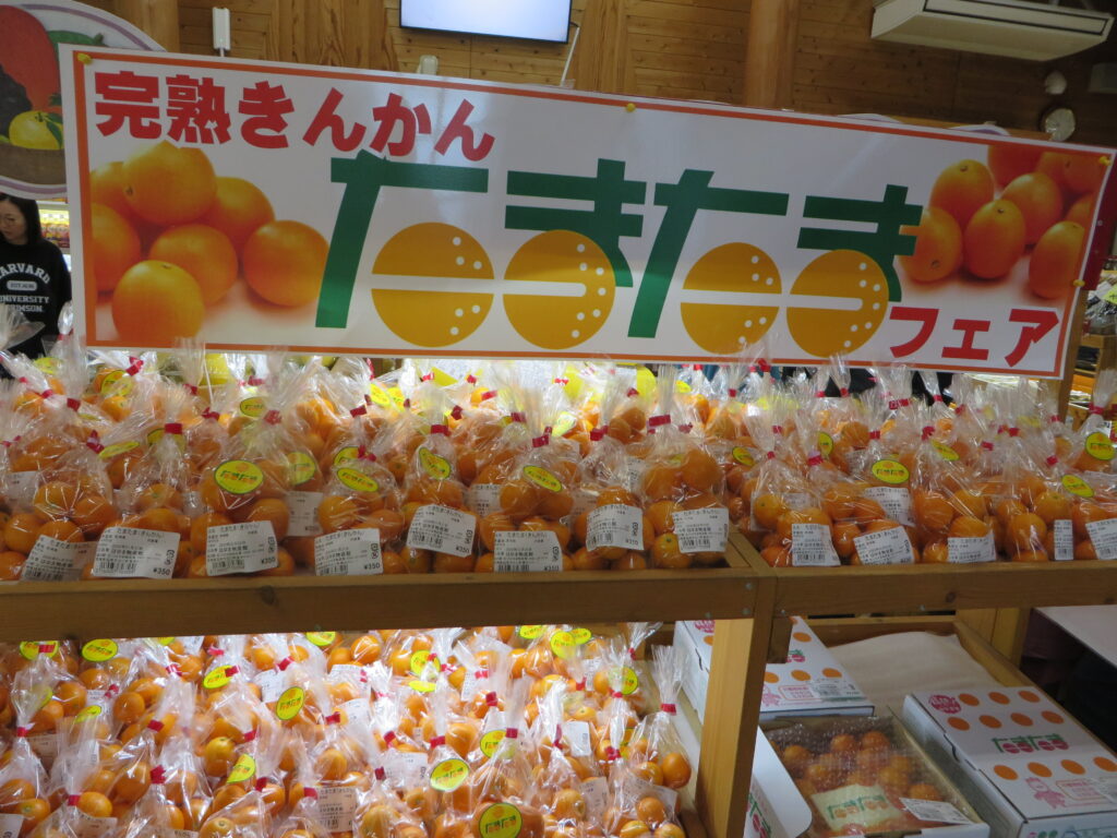 「道の駅北川はゆま　きんかんたまたまフェア」開催中！！