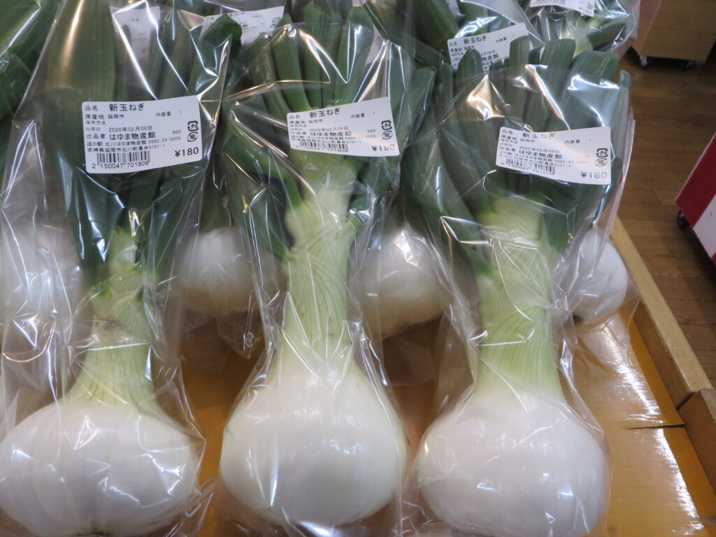「道の駅北川はゆま物産売店」から商品のご紹介（延岡市産新玉ねぎ）【令和８年２月９日（月）】