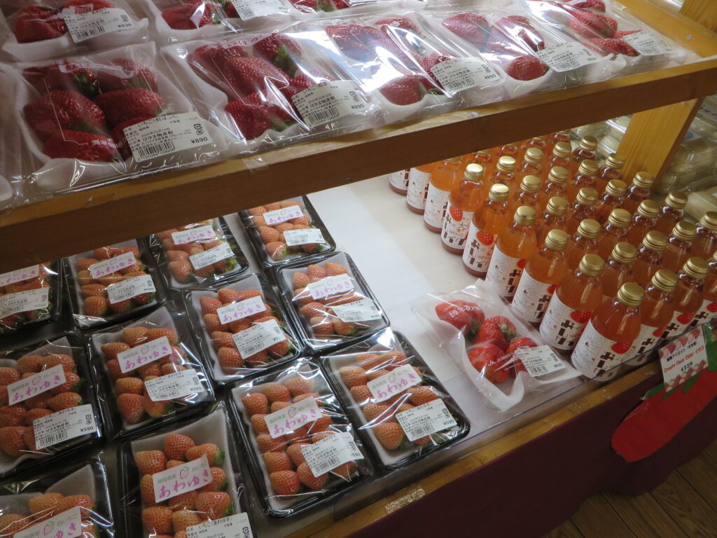 「道の駅北川はゆま　いちごフェア」開催します！（期日：令和8年2月14日（土）～15日（日））