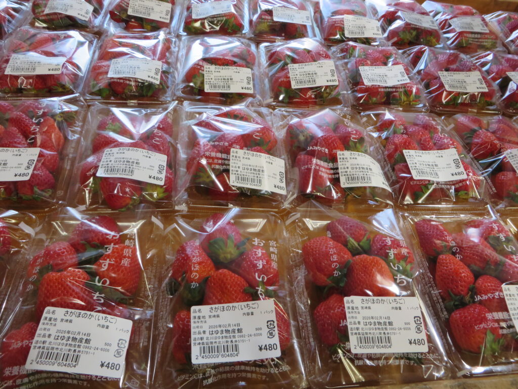 春の３大フェア開催中です！！【道の駅北川はゆま】