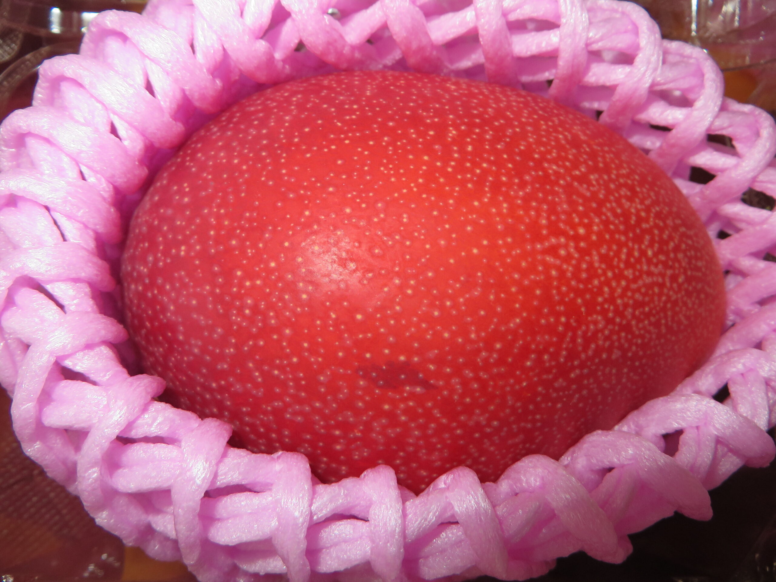 宮崎県産「完熟マンゴー」初入荷（令和８年３月２７日（金））