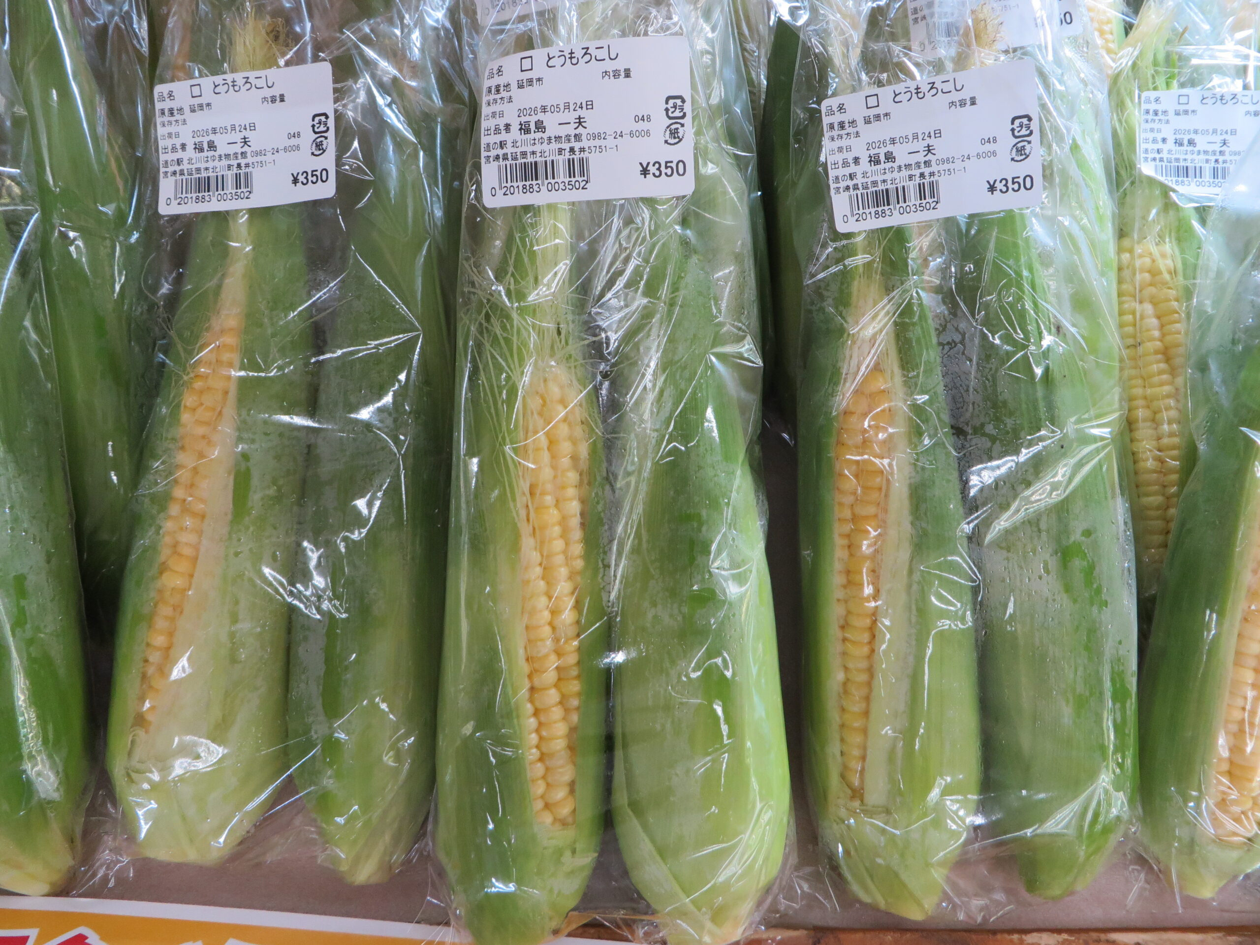延岡市北川町産スィートコーン入荷しています！！（令和8年５月２５日（月））