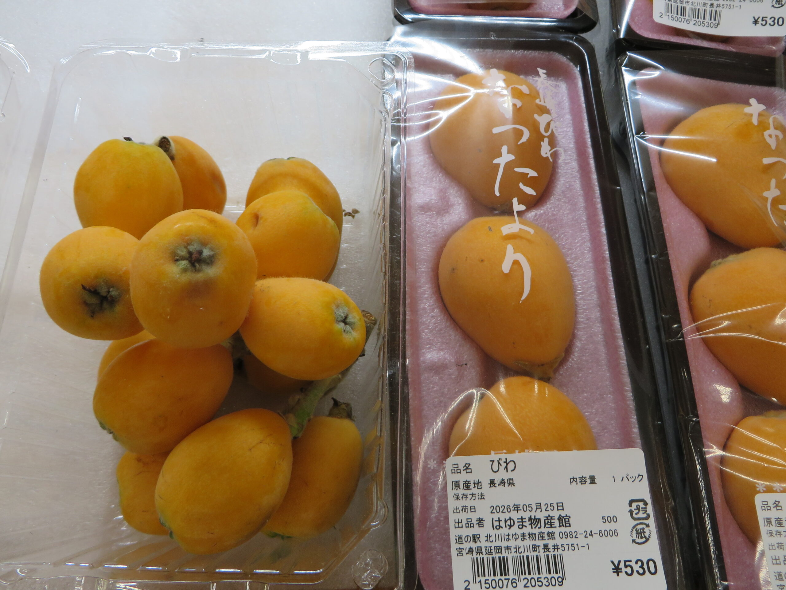 ジャンボ「びわ」入荷しました！！（令和8年５月２５日（月））