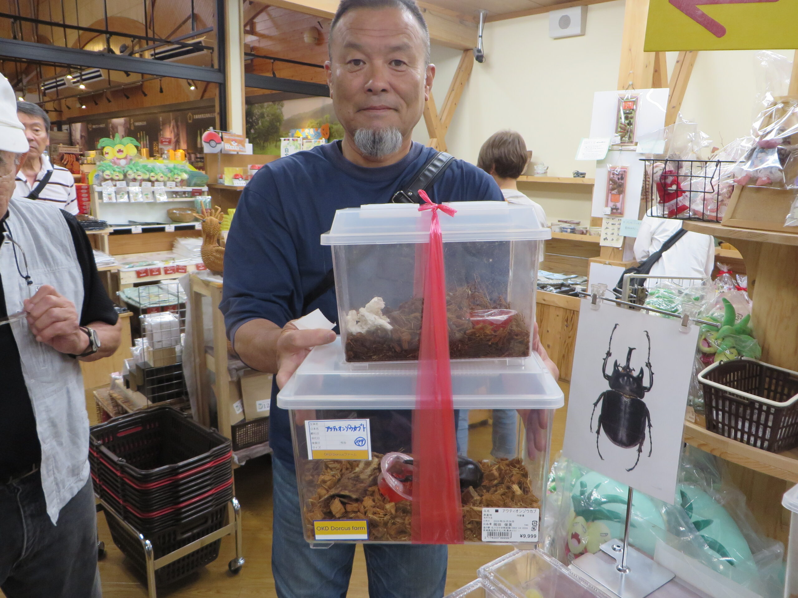 「道の駅北川はゆま　物産売店」から「ヘラクレスオオカブト」入荷のお知らせ（令和８年６月６日（土））