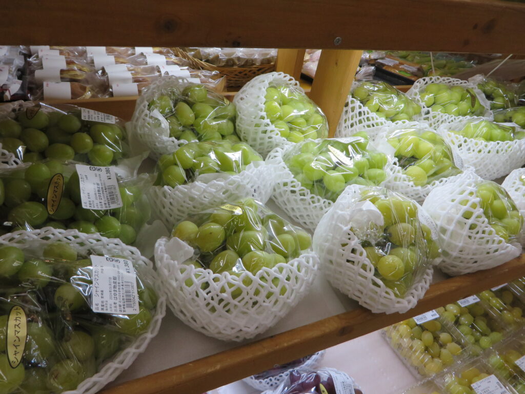 宮崎県産「ブラックシャンマスカット」入荷しました！！ | お知らせ