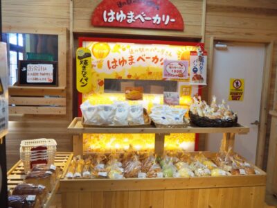 本日の出店店舗ご紹介（令和８年２月２２日（日））
